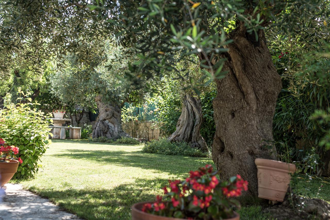 Astra Bed & Breakfast Alberobello Exterior photo