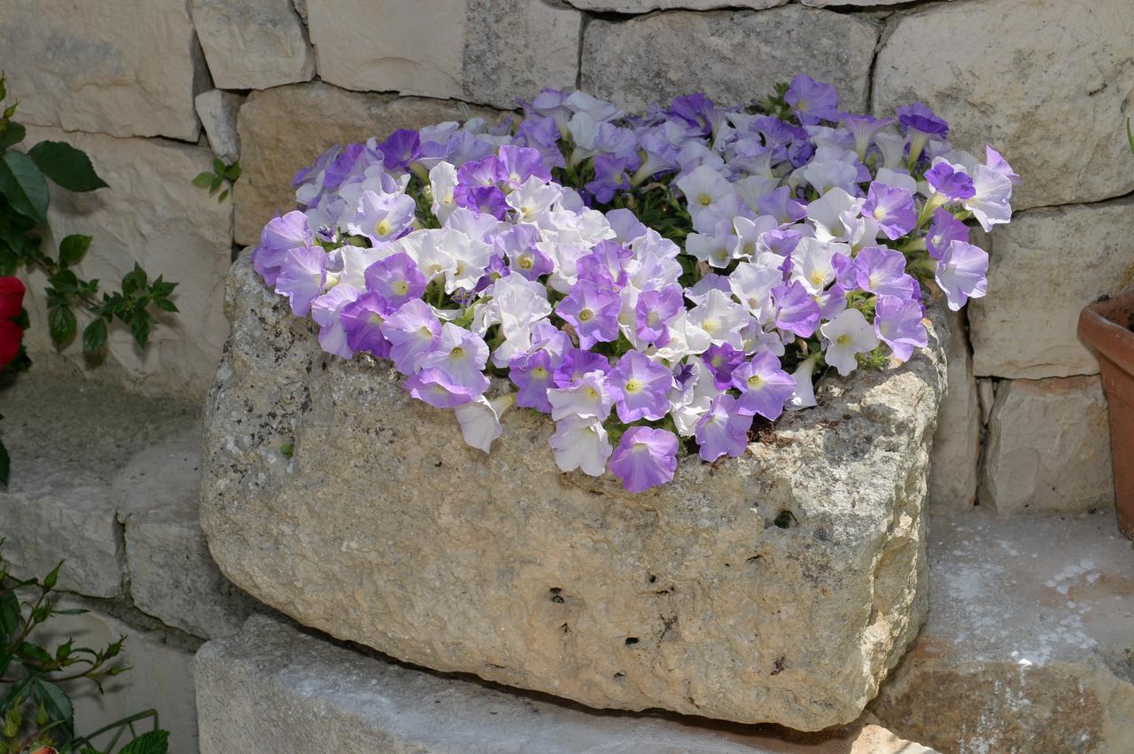 Astra Bed & Breakfast Alberobello Exterior photo