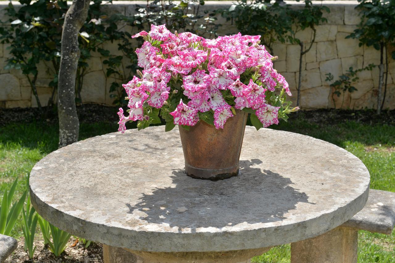 Astra Bed & Breakfast Alberobello Exterior photo