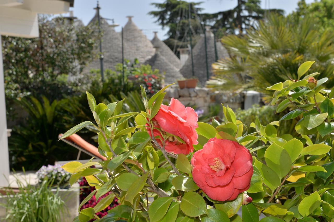 Astra Bed & Breakfast Alberobello Exterior photo